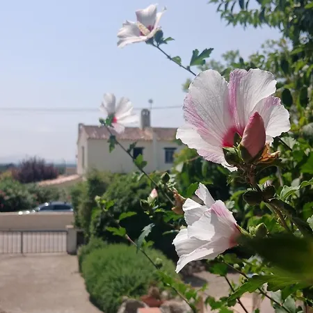 Tatil Evi Dulce Vida *